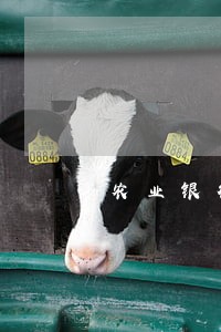 农业银行车贷还逾期两次 农业银行车贷还逾期两次