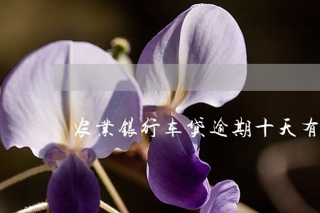 农业银行车贷逾期十天有事吗 农业银行车贷逾期十天有事吗