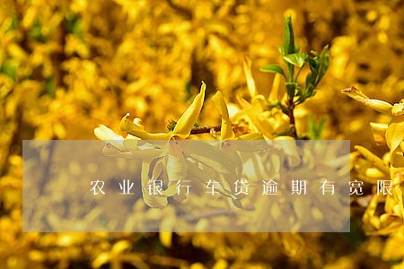 农业银行车贷逾期有宽限期