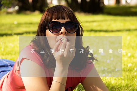 农业银行车贷逾期金额 农业银行车贷逾期金额