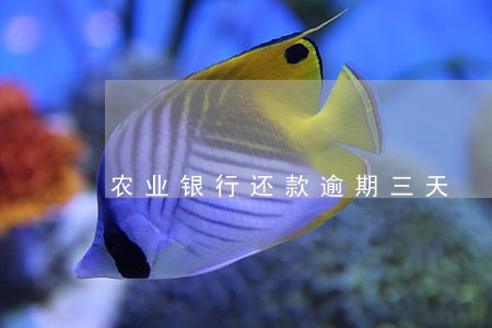 农业银行还款逾期三天 农业银行还款逾期三天