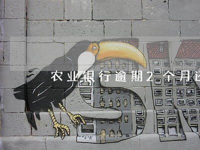 农业银行逾期2个月还了最低 农业银行逾期2个月还了最低