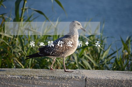 农业银行逾期4天 农业银行逾期4天