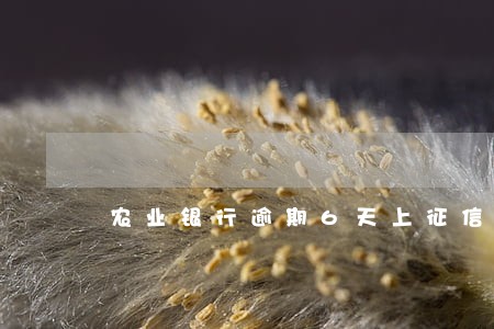 农业银行逾期6天上征信吗 农业银行逾期6天上征信吗