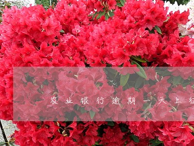 农业银行逾期一天上征信 农业银行逾期一天上征信