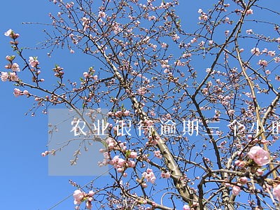 农业银行逾期三个小时 农业银行逾期三个小时