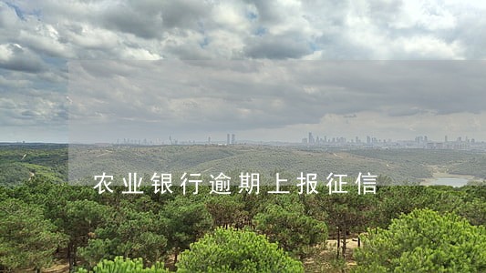 农业银行逾期上报征信 农业银行逾期上报征信