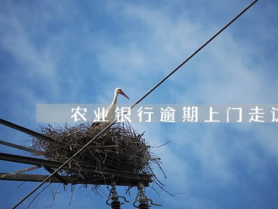 农业银行逾期上门走访 农业银行逾期上门走访