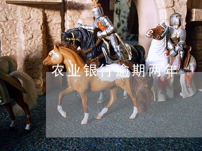 农业银行逾期两年 农业银行逾期两年