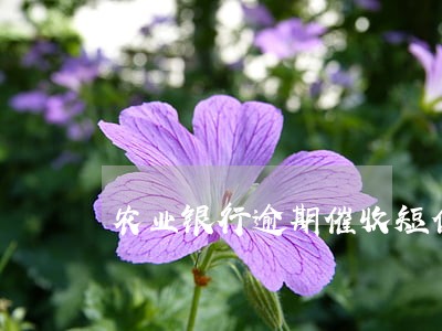 农业银行逾期催收短信 农业银行逾期催收短信