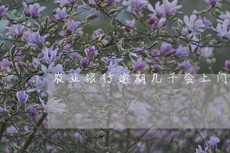 农业银行逾期几千会上门吗 农业银行逾期几千会上门吗
