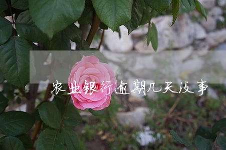 农业银行逾期几天没事 农业银行逾期几天没事