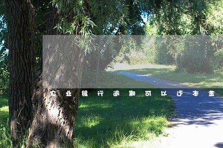 农业银行逾期可以还本金吗 农业银行逾期可以还本金吗