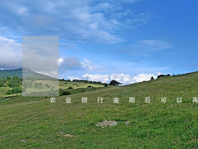 农业银行逾期后可以再申请分期吗 农业银行逾期后可以再申请分期吗