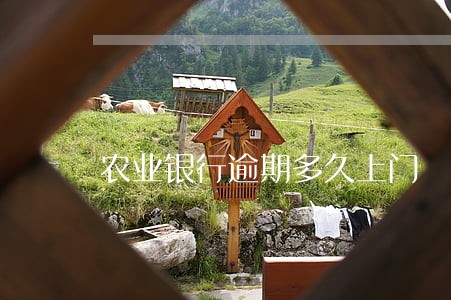 农业银行逾期多久上门