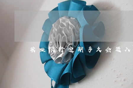 农业银行逾期多久会进入失信名单 农业银行逾期多久会进入失信名单
