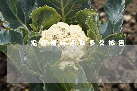 农业银行逾期多久被告 农业银行逾期多久被告