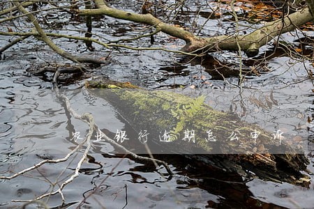 农业银行逾期怎么申诉 农业银行逾期怎么申诉