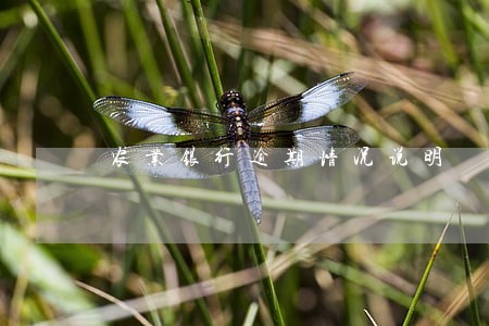 农业银行逾期情况说明 农业银行逾期情况说明