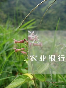 农业银行逾期提额
