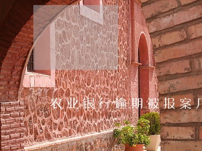 农业银行逾期被报案几率大吗 农业银行逾期被报案几率大吗