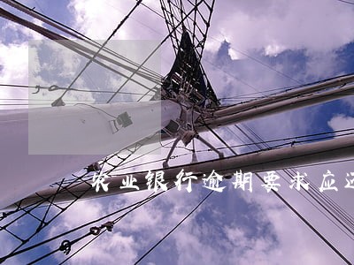 农业银行逾期要求应还本息总金额 农业银行逾期要求应还本息总金额