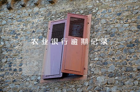 农业银行逾期记录 农业银行逾期记录