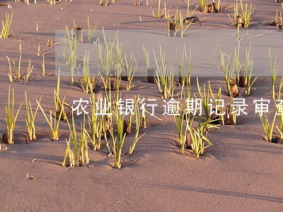 农业银行逾期记录审查 农业银行逾期记录审查