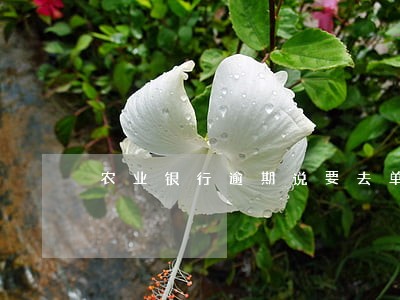 农业银行逾期说要去单位咋办 农业银行逾期说要去单位咋办
