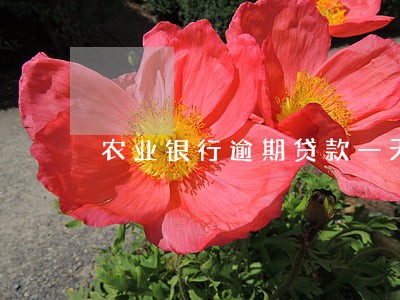 农业银行逾期贷款一天p 农业银行逾期贷款一天p