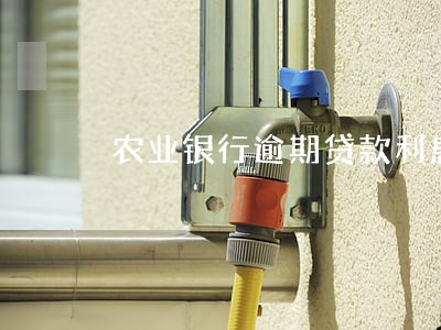 农业银行逾期贷款利息 农业银行逾期贷款利息