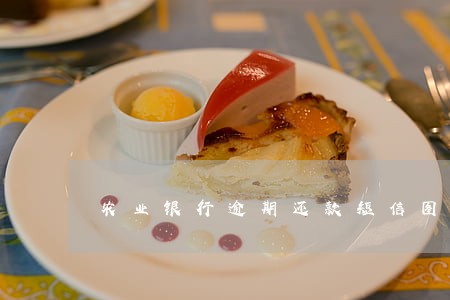农业银行逾期还款短信图片 农业银行逾期还款短信图片