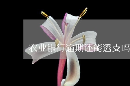 农业银行逾期还能透支吗 农业银行逾期还能透支吗
