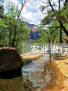 农业银行逾期还贷 农业银行逾期还贷
