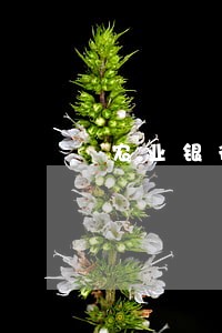农业银行逾期银行贷款利率 农业银行逾期银行贷款利率