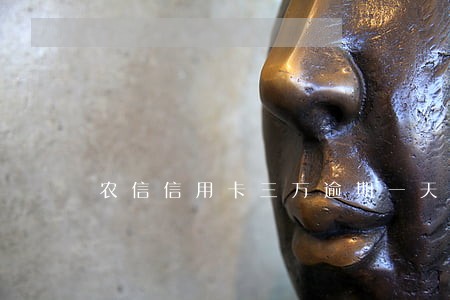 农信信用卡三万逾期一天利息多少
