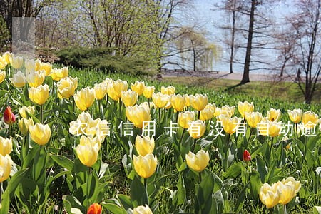 农信信用卡有没有自动逾期三天