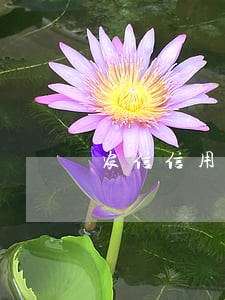 农信信用卡逾期一天有影响吗 农信信用卡逾期一天有影响吗