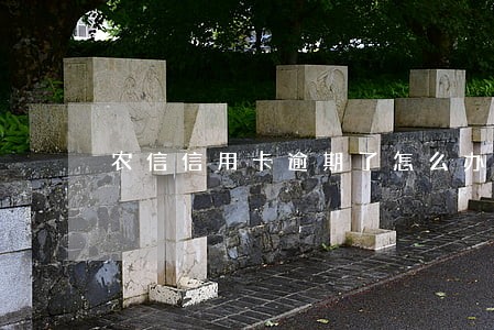 农信信用卡逾期了怎么办