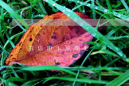农信用卡逾期吧 农信用卡逾期吧