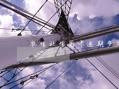 农信社信用卡逾期多久上征信 农信社信用卡逾期多久上征信