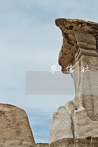农信社的贷款逾期一天 农信社的贷款逾期一天