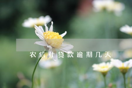 农信社贷款逾期几天 农信社贷款逾期几天