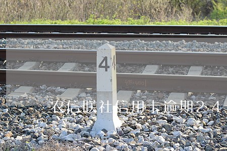 农信联社信用卡逾期24小时