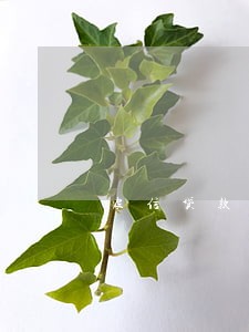 农信贷款利息逾期 农信贷款利息逾期