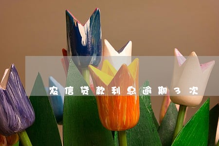 农信贷款利息逾期3次 农信贷款利息逾期3次
