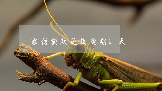 农信贷款还款逾期1天