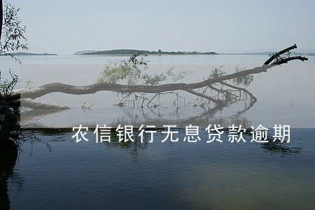 农信银行无息贷款逾期 农信银行无息贷款逾期