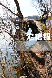 农信银行逾期6天没事吧 农信银行逾期6天没事吧