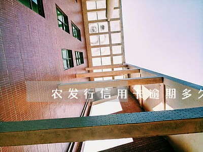 农发行信用卡逾期多久会上征信